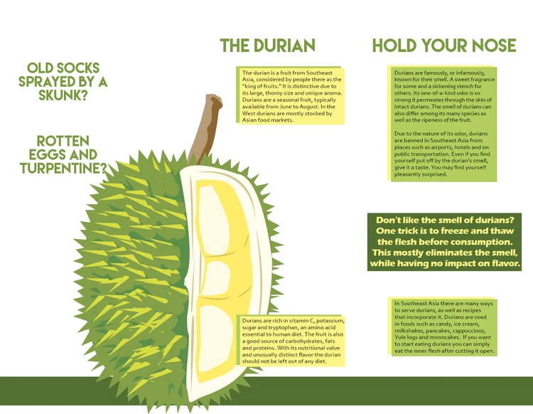 Zincosen Freeze Dried Musang King Durian