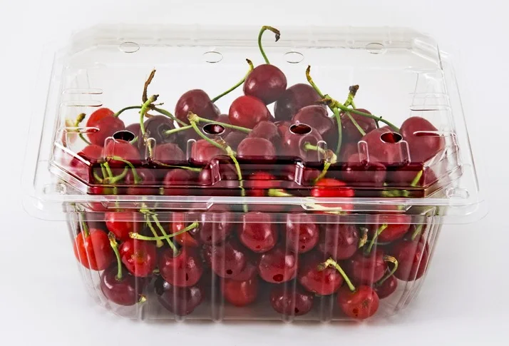 fresh cherry - buy new corp fresh cherries fruit