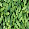 Fresh Gherkins Fresh Pickled Gherkins, Pickled Cucumbers, Canned Cucumbers In Glass Jar Wholesale Price