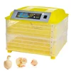 /product-detail/32-tm-w-20-automatic-incubator-32-eggs-mini-incubator-poultry-equipment-chicken-duck-62004200285.html