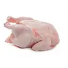 /product-detail/frozen-whole-chicken-50045585727.html