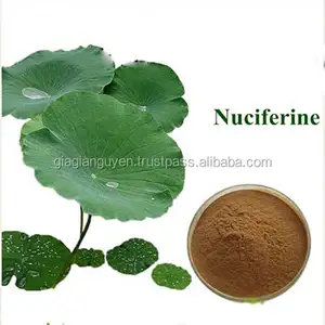 lotus leaf powder extract