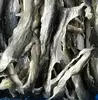 PANGASIUS FISH SKIN/ CAT FISH SKIN FROM VIETNAM