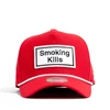 [FL341-FL344] D SMOKING ballcap baseball cap awesome embroidery quality fabric color trendy logo cap&hat