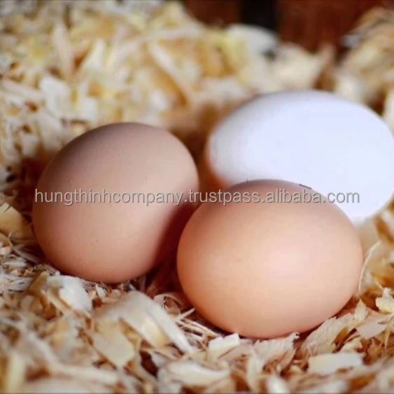 PINE MIX ANIMAL BEDDING WOOD SHAVINGS SMOOTH AND LIGH