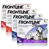 Frontline Plus Flea And Tick Treatment For Dogs
