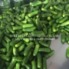 Hot sale Canned Pickled Cucumber/ Gherkins 6-9cm in brine in Bulk Barrel/ +842835119589