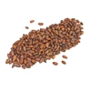 Wholesale Quality Fresh Cocoa Beans