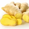 /product-detail/ginger-extract-3--50037980263.html