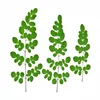 High Quality Moringa Oleifera Leaf/Dried Moringa Oleifera Leaves