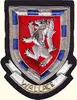COAT OF ARMS / FAMILY CREST / Embroidered Family Crest