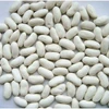 /product-detail/white-red-kidney-beans--50045246382.html
