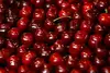/product-detail/fresh-cherries-50035406397.html