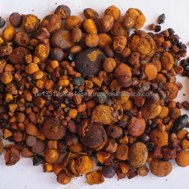 dried whole cow/ox gallstones