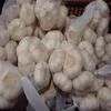 /product-detail/natural-fresh-white-garlic-for-sale-50046388621.html