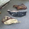 Salted Cow Head Skin /Available Wet Salted Donkey Hides/ Cow Hides/Sheep