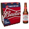 /product-detail/budweiser-beer-62001265484.html