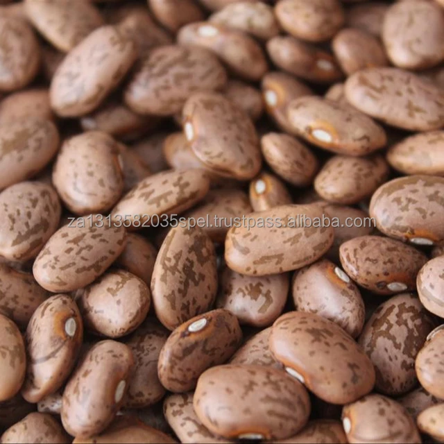 best pinto beans photos