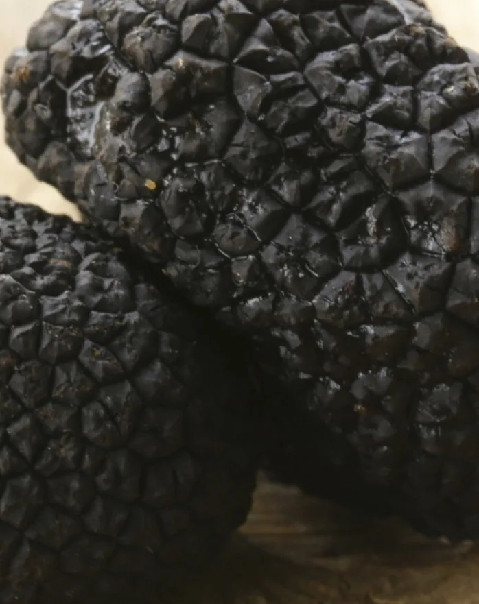 Best Grade Truffles