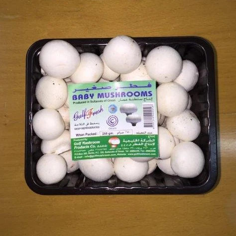 Fresh Mushrooms