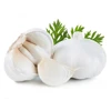 /product-detail/fresh-garlic-50029719253.html