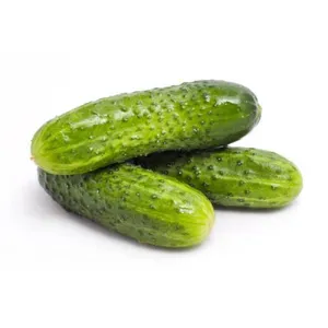cucumber图片,broccoli图片 pickled cucumber _ pickled baby cucumber in glass jar, in drums