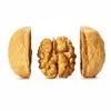 Ukrainian Wholesale Walnut - Dried and Fresh Organic Whole Walnuts / Nuts - Buy at Best Price Walnut in Shell