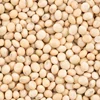 Exporter of Naturally Processed Soya Bean Seeds for Sale