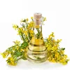 Organic Unrefined Rapeseed Oil in Bulk - Supply High Oleic Cold Pressed Rapeseed Oil - Buy at the Best Price Canola Oil