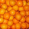 /product-detail/fresh-juicy-oranges-usa-origin-mexico-origin-spain-origin-50038150435.html