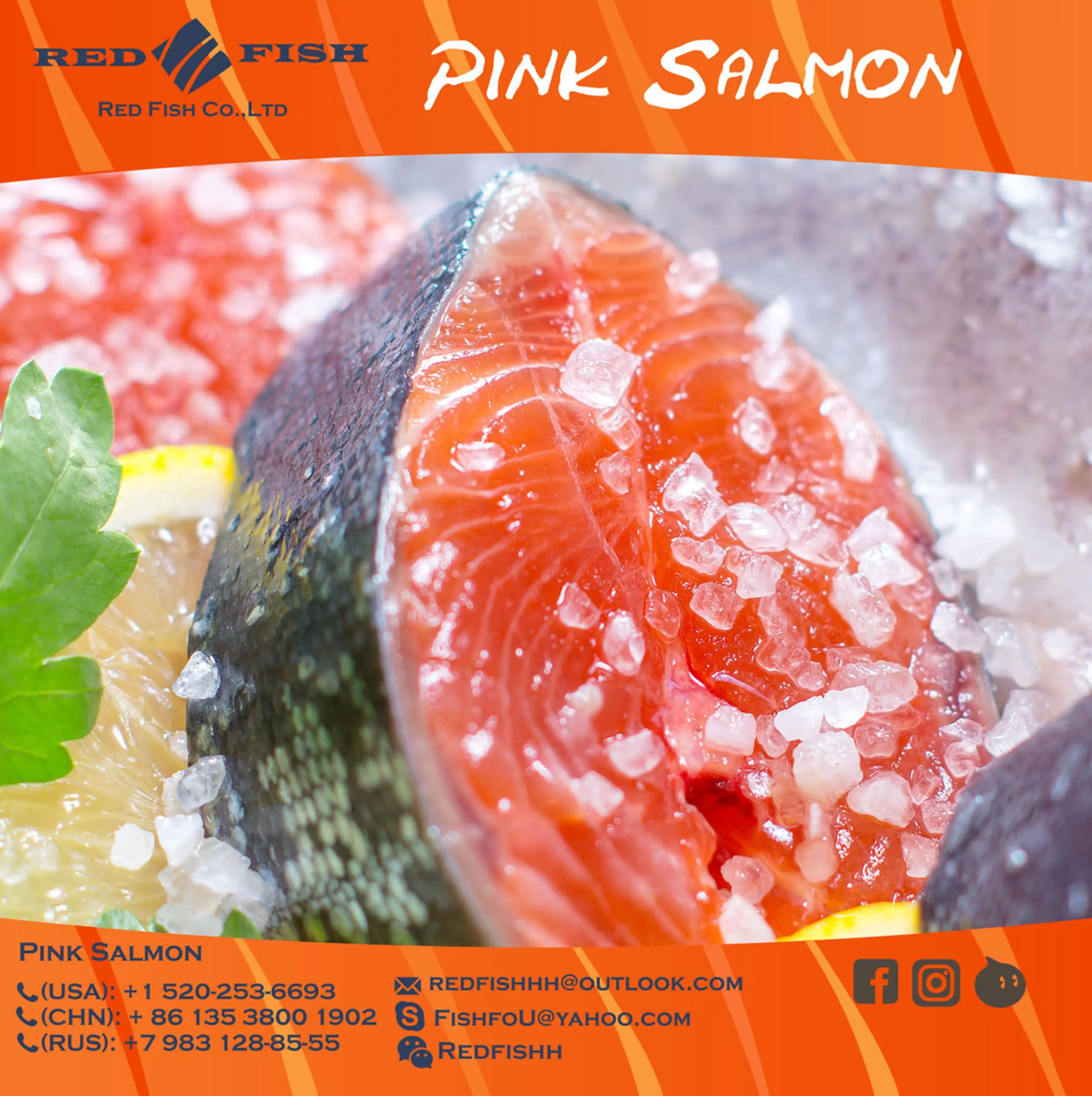 natural pink salmon fish