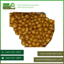 High Quality Controlled Release Fertilizer for Oil Palm