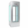 /product-detail/small-home-lift-passanger-elevator-50002296508.html