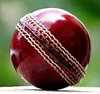 Training Cricket Ball Attractive Best Quality