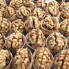 /product-detail/good-dried-walnuts-in-shell-walnuts-kernels-50041357464.html