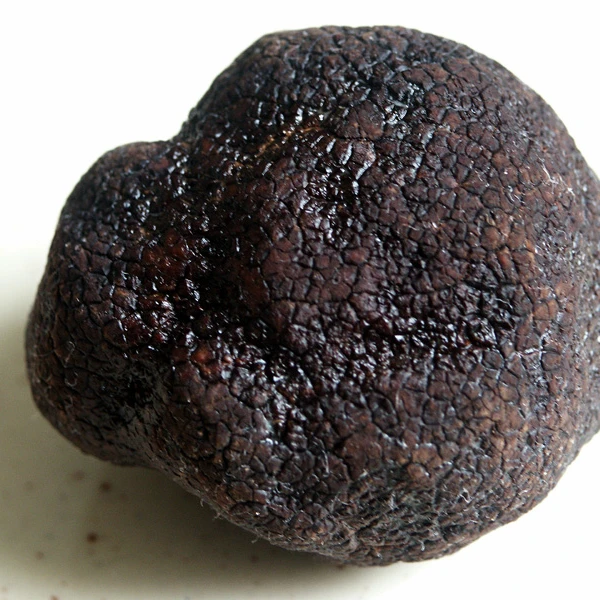 Wild Truffles Mushroom Supplier / frozen Truffles Mushroom