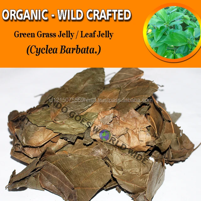 wholesale green grass jelly leaf jelly cyclea barbata organic
