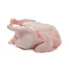 /product-detail/halal-chicken-feet-frozen-chicken-paws-brazil-fresh-chicken-wings-and-foot-62007658441.html