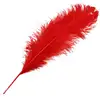 Wholesale Party Decoration Supplies Golden Ostrich Feathers Mold