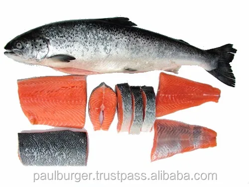 Best quality fresh chilled or frozen whole Tasmanian Atlantic Salmon Heads on, Guts out, 4-5 Kg