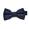 Hot Selling Fashion Colorful New Micro Silk Bow Ties for Bulk Buyer