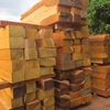 /product-detail/kd-fir-spruce-pine-timber-for-pallet-production-50043127583.html