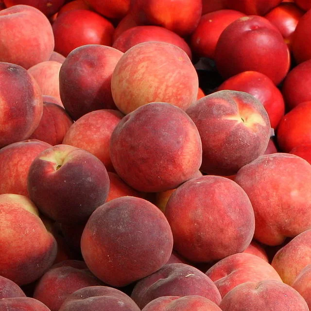 Australian Fresh Stone Fruit - Nectarines/Peaches/Apricots