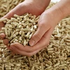 /product-detail/acasia-wood-pellets-wood-briquettes-rice-husk-pellets--50044346307.html