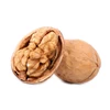 Thin Skinned Natural Thin Shell Xinjiang Export Walnut Nuts Manufacture Kernel Sellers In Shell Without Shell