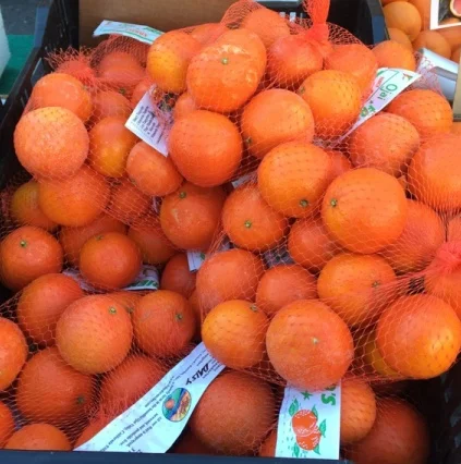 Fresh Juicy Seedless Tangerine & Mandarin With Competitive Prices