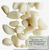 /product-detail/peeled-garlic-fresh-peeled-garlic-garlic-clove-62006677036.html