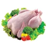 Halal Certified Whole Chicken With Or Without Giblets / Griller