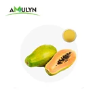 100% Natural Fruit Powder Pawpaw Powder Instant Organic Dry Papaya Powder bulk