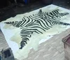 printed zebra pattern of cow hides with hair on